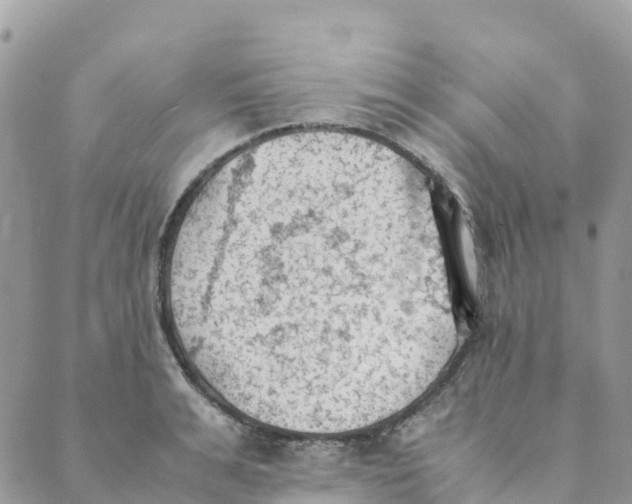 X0000089370991200707061110