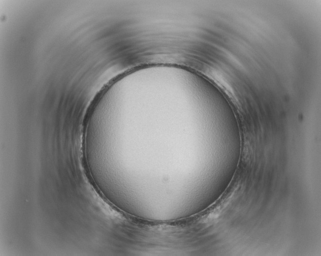 X0000089370992200707061110