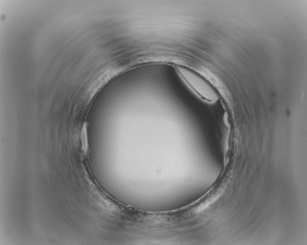 X0000089370993200707061110