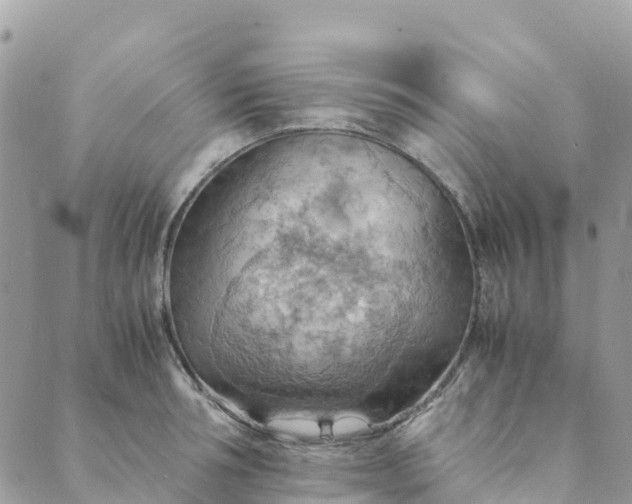 X0000089370994200707061110