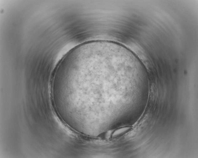 X0000089370998200707061109