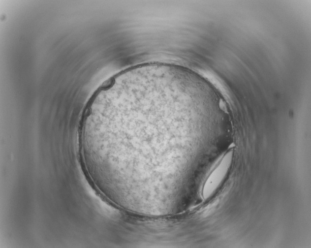 X0000089370999200707061109