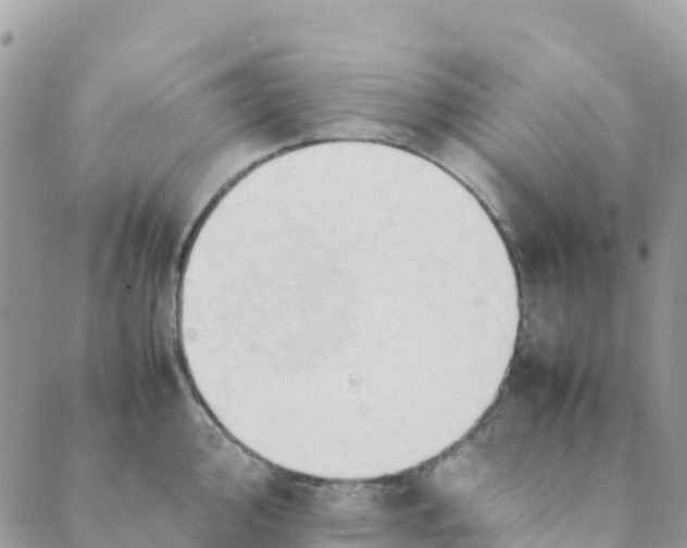 X0000089371000200707061109