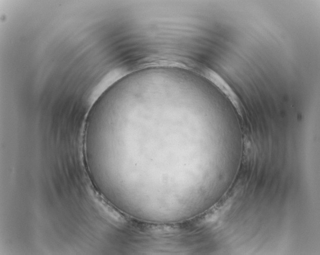 X0000089371002200707061109