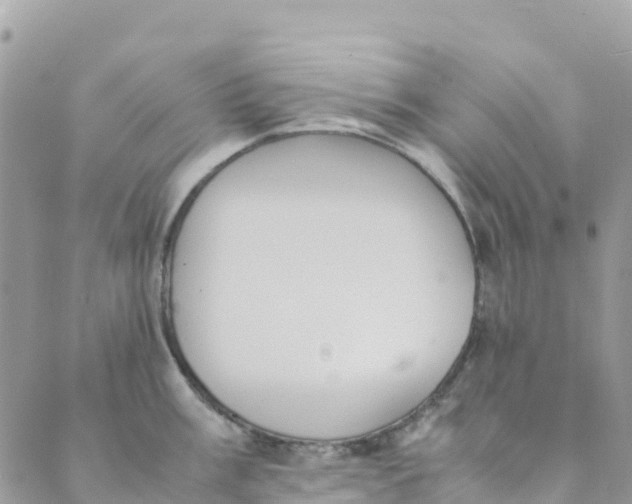 X0000089371003200707061109