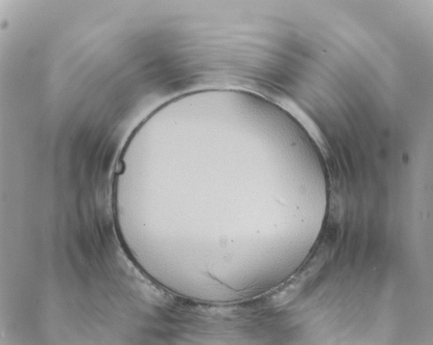 X0000089371004200707061109