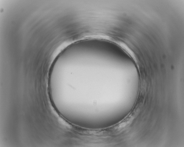 X0000089371005200707061109