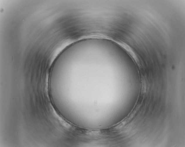 X0000089371006200707061109