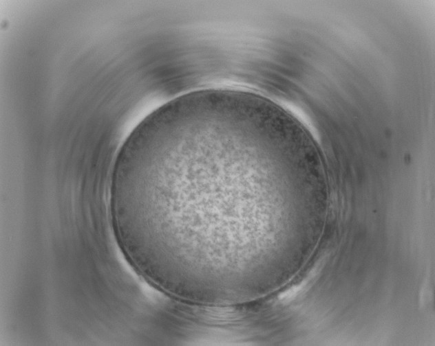 X0000089371007200707061109