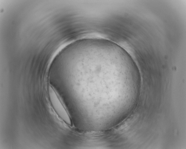 X0000089371008200707061109