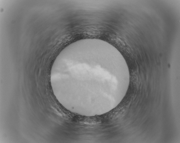 X0000089371009200707061109