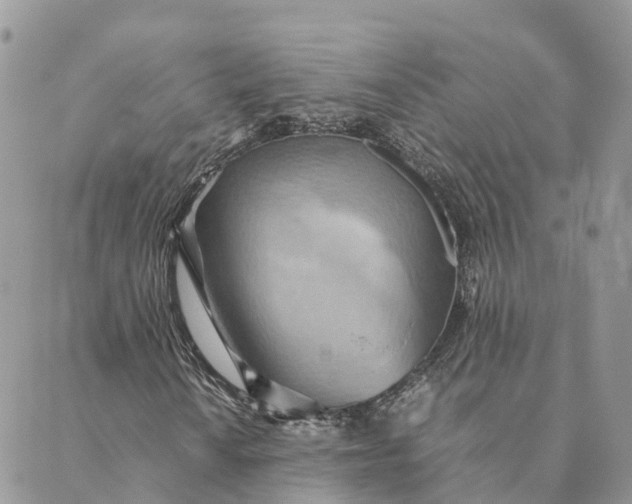 X0000089371010200707061109