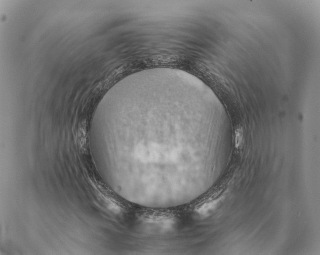 X0000089371011200707061109