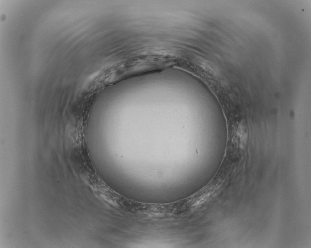 X0000089371014200707061109