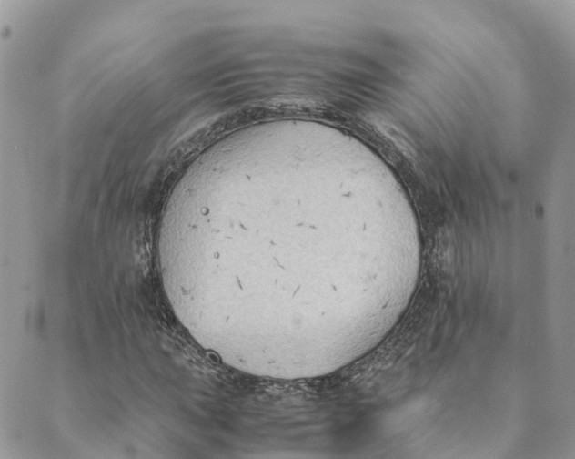 X0000089371015200707061109