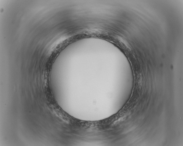 X0000089371016200707061109