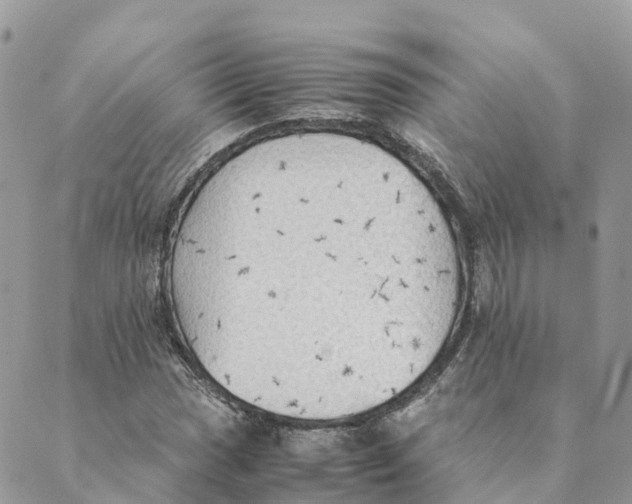 X0000089371017200707061109