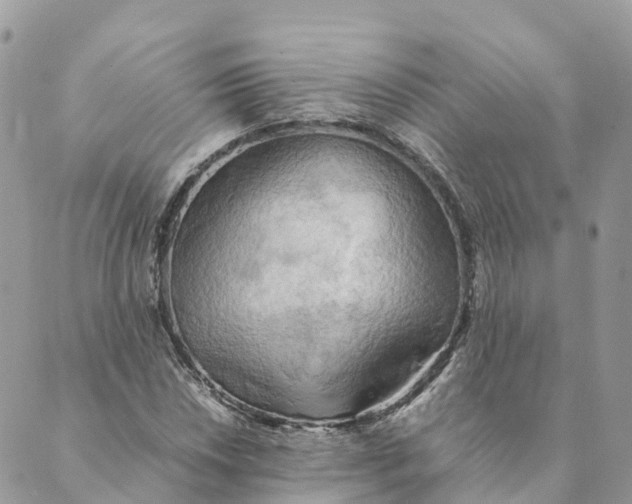 X0000089371018200707061109