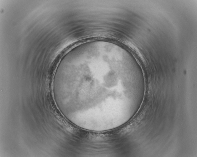 X0000089371019200707061109