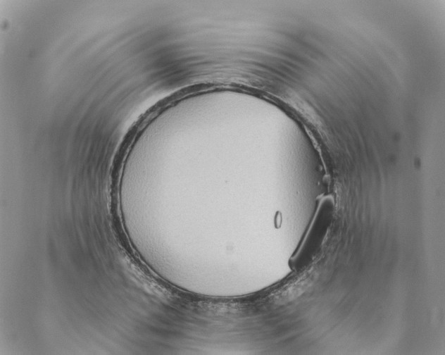 X0000089371020200707061109