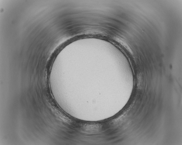 X0000089371021200707061109