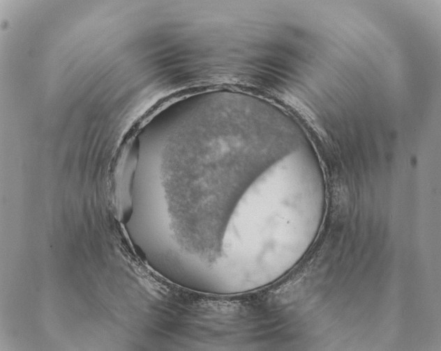 X0000089371023200707061109