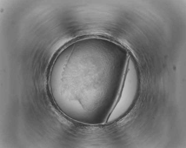 X0000089371024200707061109