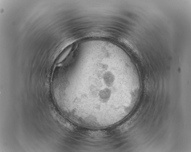 X0000089371025200707061109