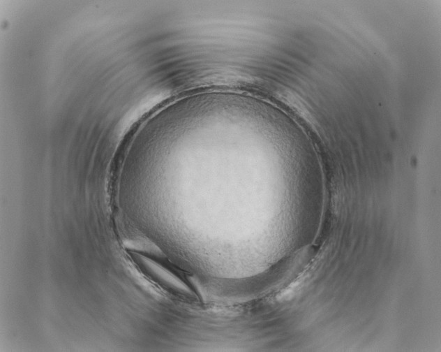 X0000089371026200707061109