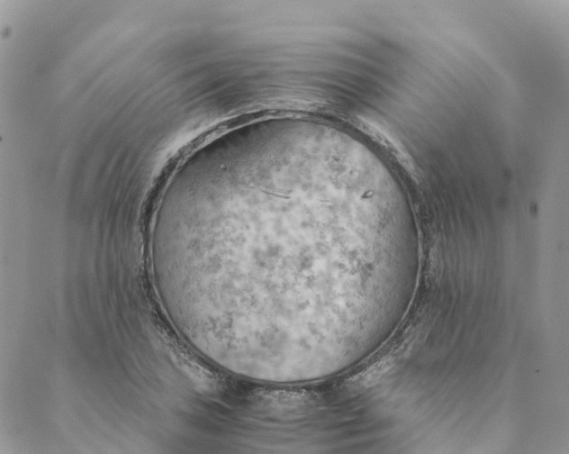 X0000089371027200707061109