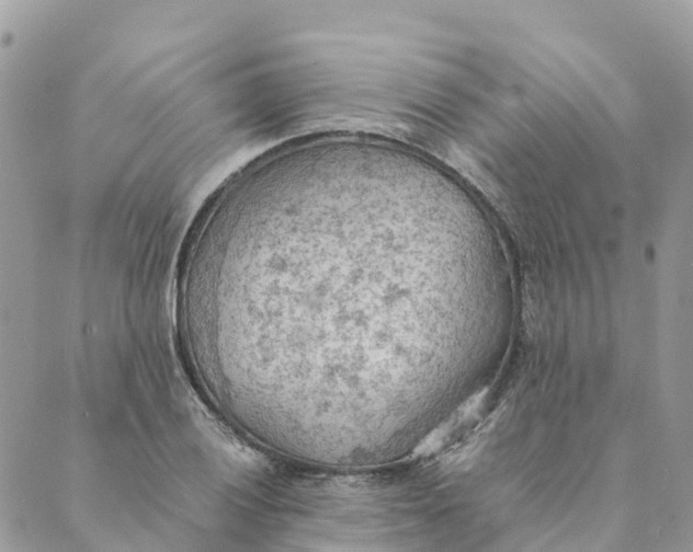 X0000089371028200707061109