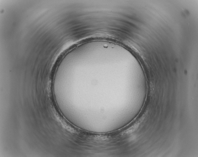 X0000089371029200707061109