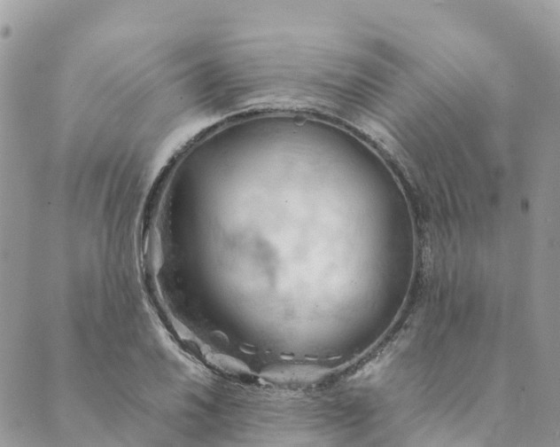 X0000089371030200707061109