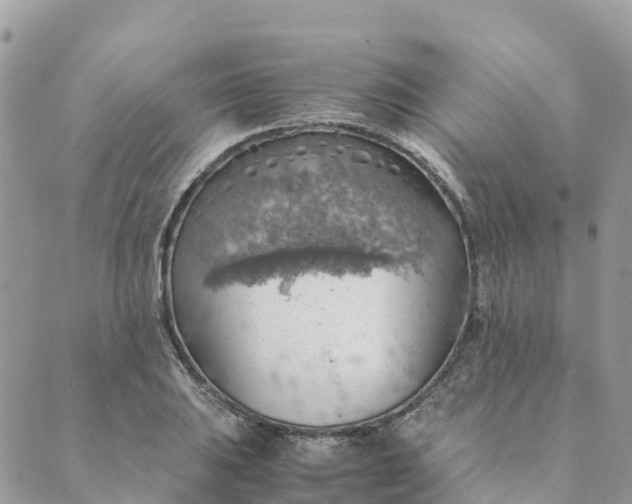 X0000089371031200707061109