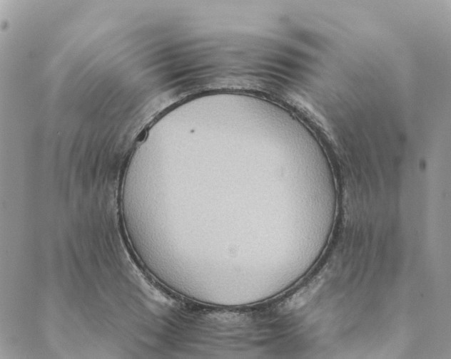 X0000089371033200707061109