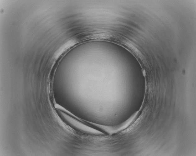 X0000089371034200707061109