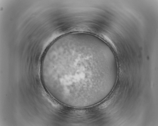 X0000089371035200707061109