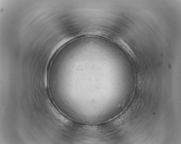 X0000089371036200707061109