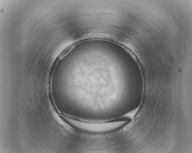 X0000089371038200707061109