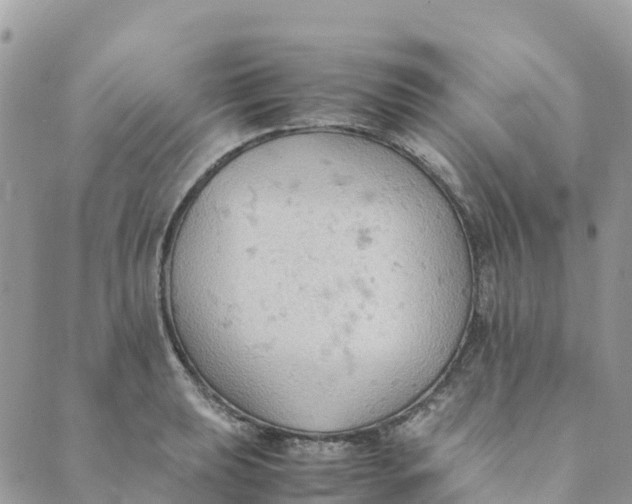 X0000089371039200707061109