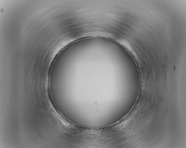 X0000089371040200707061109