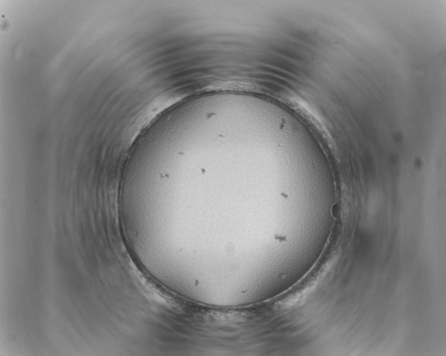 X0000089371041200707061109