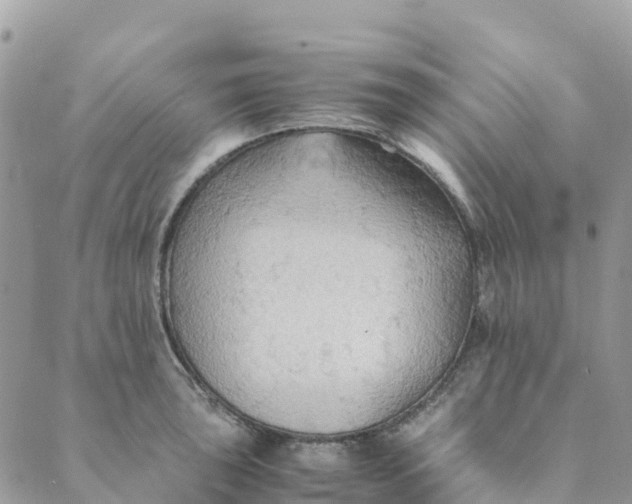 X0000089371043200707061109