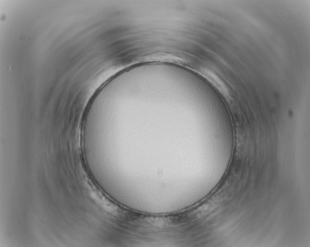 X0000089371044200707061109