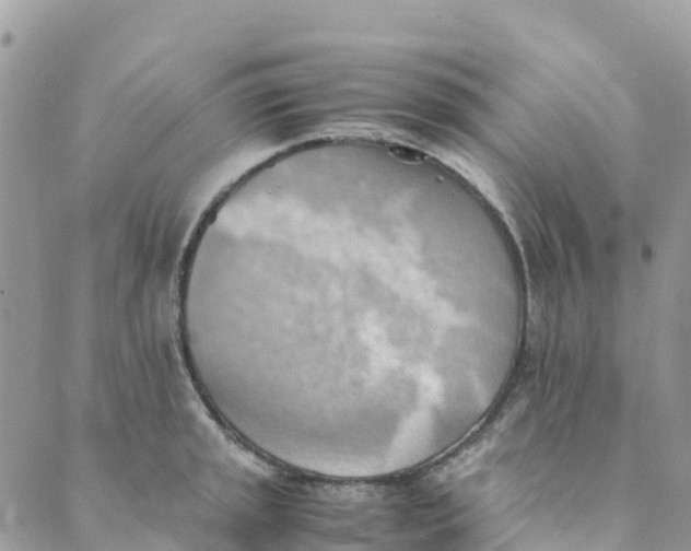 X0000089371045200707061109