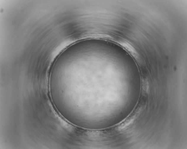 X0000089371046200707061109