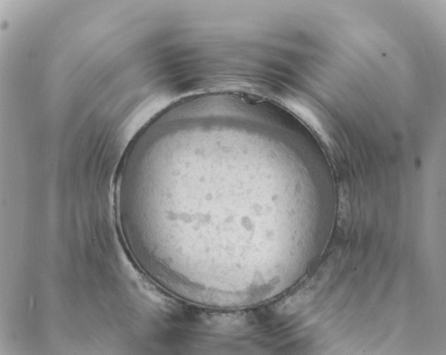 X0000089371047200707061109