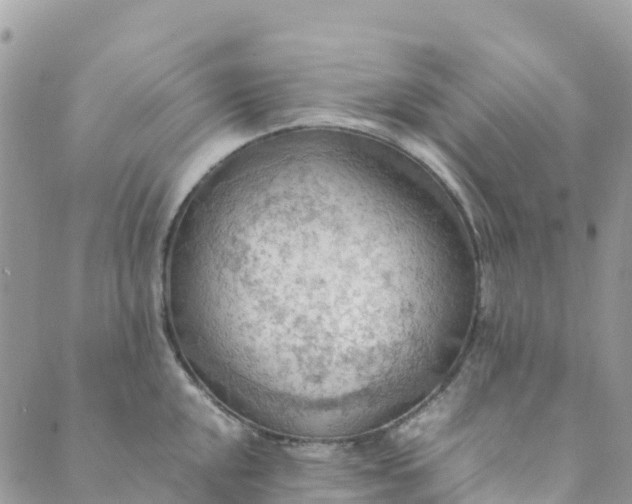 X0000089371048200707061109