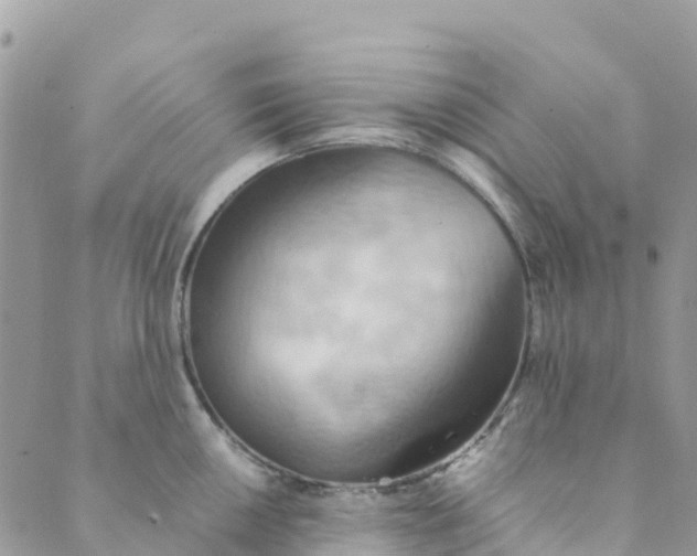 X0000089371050200707061109