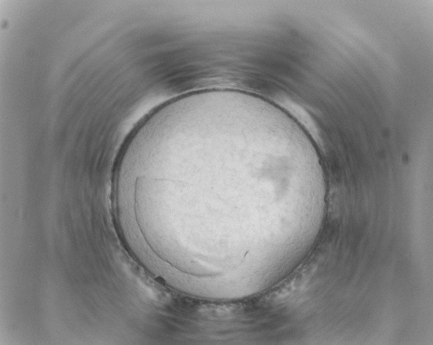 X0000089371051200707061109